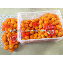 Sell 2013 nanfeng baby mandarin orange Brother kingdom